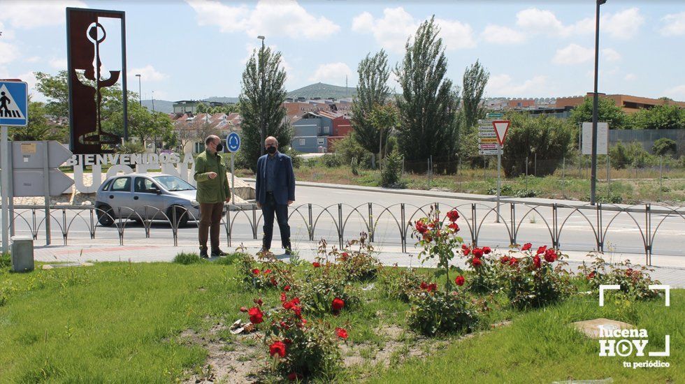  Jardín creado junto a la rotonda de Aldi, en los terrenos que ocupaban previamente unas dependencias de Alfarería Sartén 