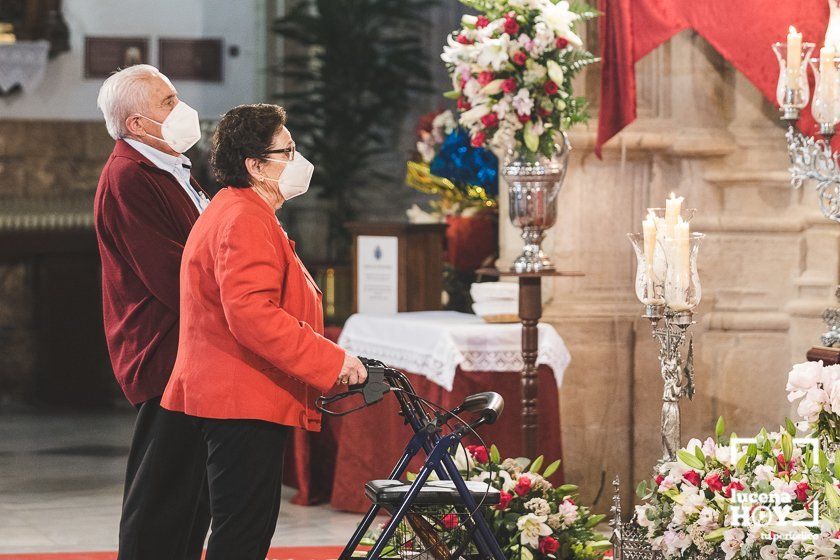 GALERÍA: La Virgen de Araceli recibe a Lucena en San Mateo. Las fotos del Solemne Acto de Veneración