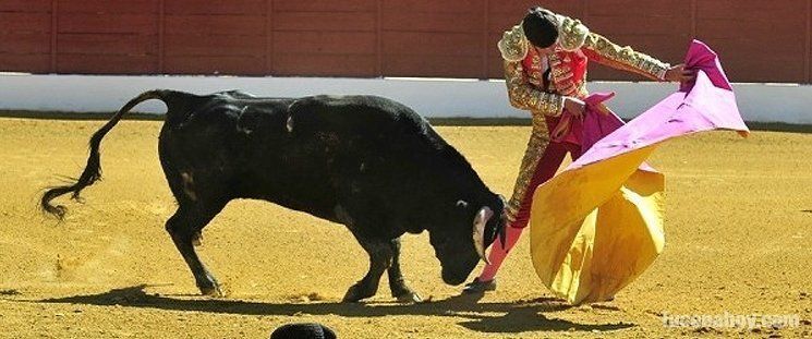  Novillada de las Escuelas Taurinas en Lucena y por Canal Sur 