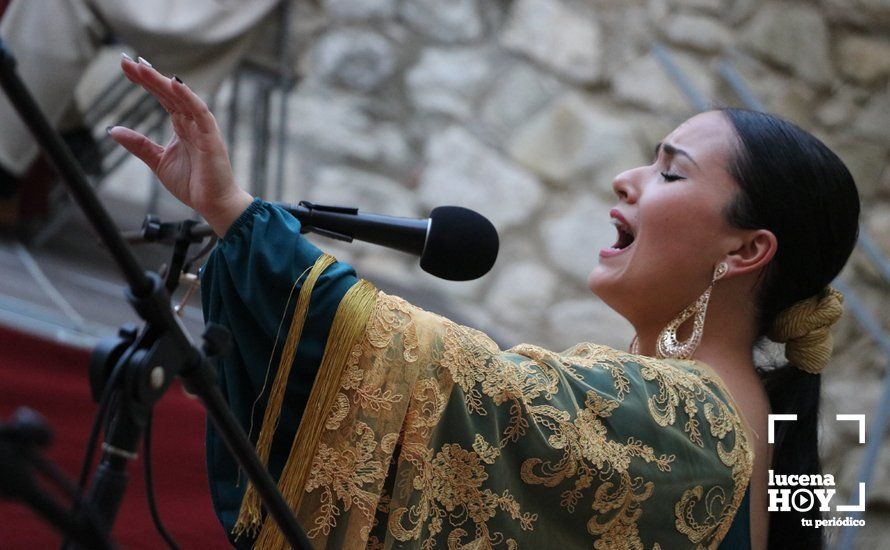 GALERÍA: Antonio Rivas aúna poesía y flamenco en la presentación en el Castillo de Lucena de su último poemario "Calle Huertas y Pabellones"