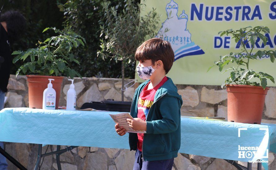 GALERÍA: "Al arbolito, desde chiquito": Los alumnos del Virgen de Araceli reciben de Mejorana diplomas por sus dibujos para la Vía Verde