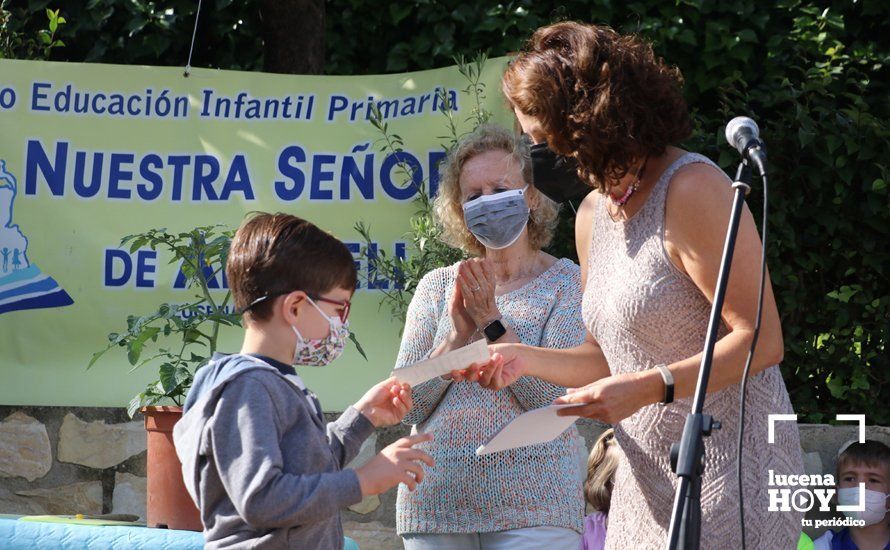 GALERÍA: "Al arbolito, desde chiquito": Los alumnos del Virgen de Araceli reciben de Mejorana diplomas por sus dibujos para la Vía Verde