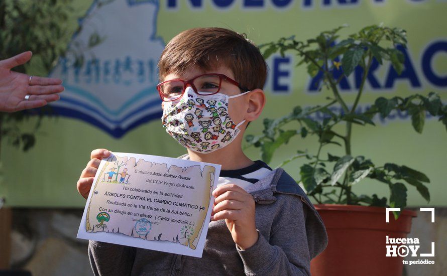 GALERÍA: "Al arbolito, desde chiquito": Los alumnos del Virgen de Araceli reciben de Mejorana diplomas por sus dibujos para la Vía Verde