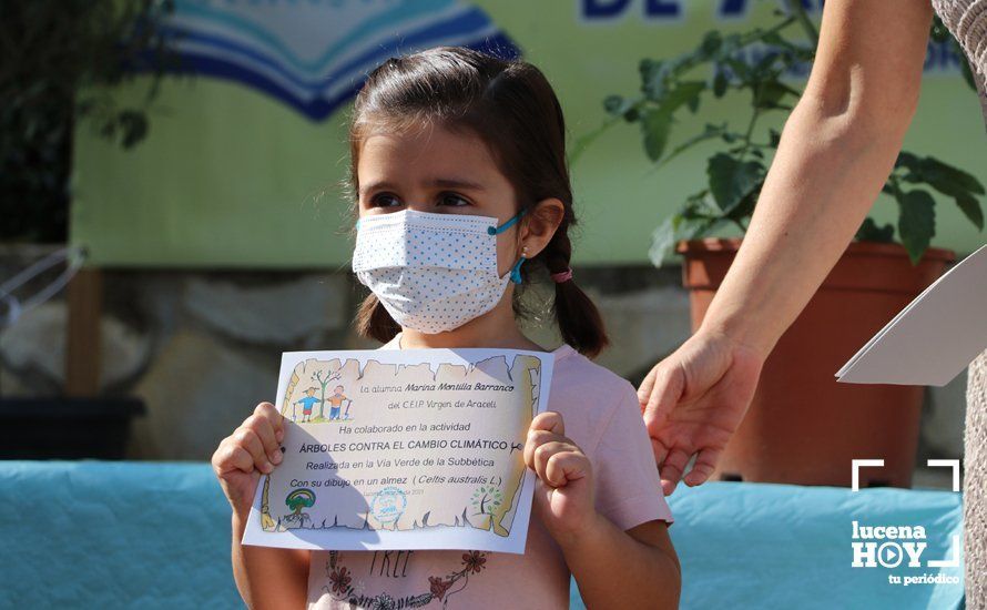 GALERÍA: "Al arbolito, desde chiquito": Los alumnos del Virgen de Araceli reciben de Mejorana diplomas por sus dibujos para la Vía Verde