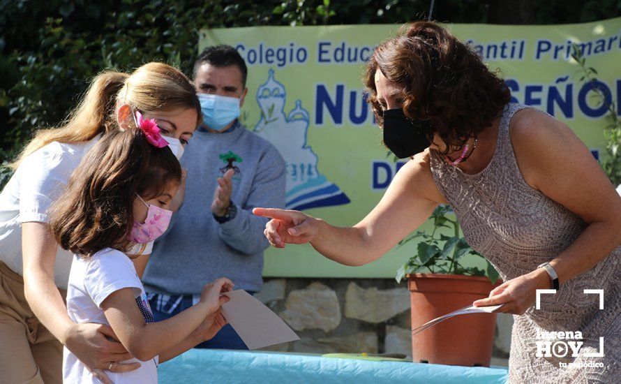 GALERÍA: "Al arbolito, desde chiquito": Los alumnos del Virgen de Araceli reciben de Mejorana diplomas por sus dibujos para la Vía Verde