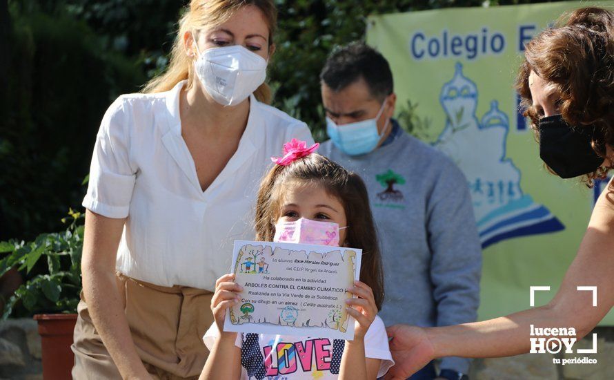 GALERÍA: "Al arbolito, desde chiquito": Los alumnos del Virgen de Araceli reciben de Mejorana diplomas por sus dibujos para la Vía Verde