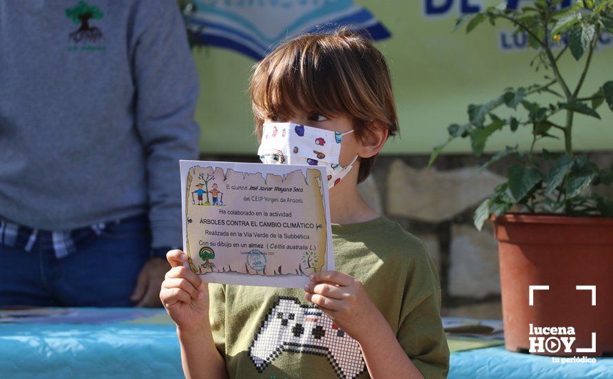 GALERÍA: "Al arbolito, desde chiquito": Los alumnos del Virgen de Araceli reciben de Mejorana diplomas por sus dibujos para la Vía Verde