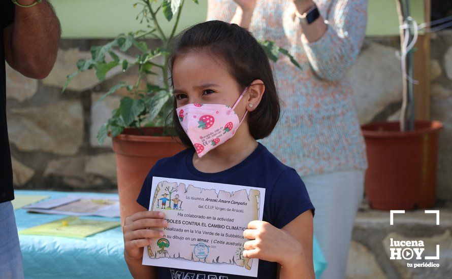 GALERÍA: "Al arbolito, desde chiquito": Los alumnos del Virgen de Araceli reciben de Mejorana diplomas por sus dibujos para la Vía Verde