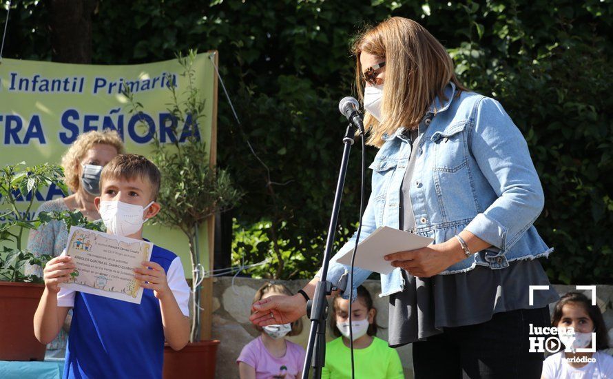 GALERÍA: "Al arbolito, desde chiquito": Los alumnos del Virgen de Araceli reciben de Mejorana diplomas por sus dibujos para la Vía Verde