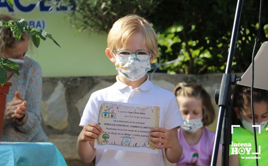 GALERÍA: "Al arbolito, desde chiquito": Los alumnos del Virgen de Araceli reciben de Mejorana diplomas por sus dibujos para la Vía Verde