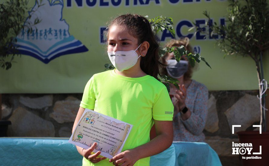 GALERÍA: "Al arbolito, desde chiquito": Los alumnos del Virgen de Araceli reciben de Mejorana diplomas por sus dibujos para la Vía Verde