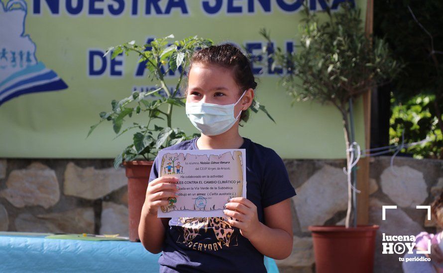 GALERÍA: "Al arbolito, desde chiquito": Los alumnos del Virgen de Araceli reciben de Mejorana diplomas por sus dibujos para la Vía Verde