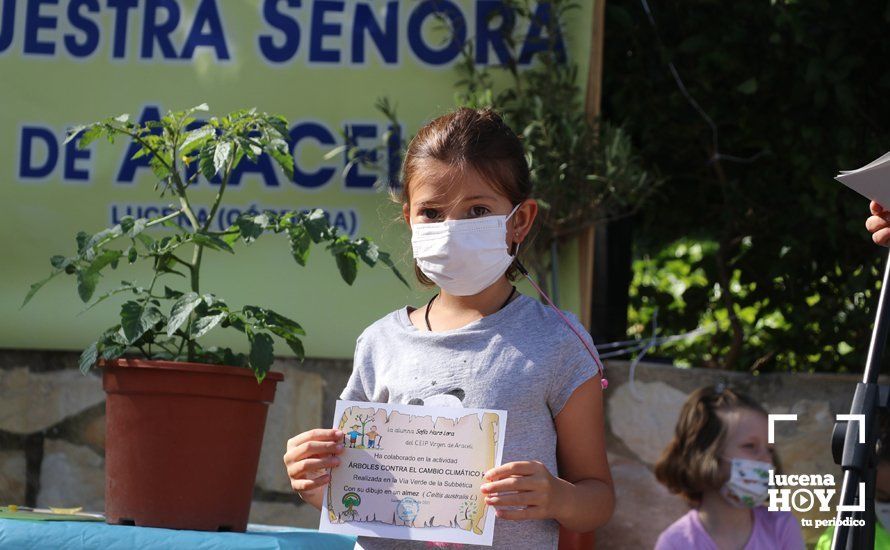 GALERÍA: "Al arbolito, desde chiquito": Los alumnos del Virgen de Araceli reciben de Mejorana diplomas por sus dibujos para la Vía Verde