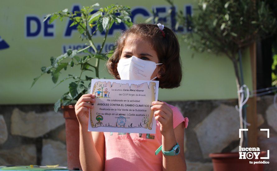 GALERÍA: "Al arbolito, desde chiquito": Los alumnos del Virgen de Araceli reciben de Mejorana diplomas por sus dibujos para la Vía Verde