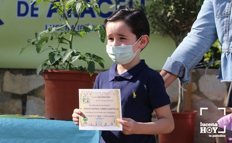 GALERÍA: "Al arbolito, desde chiquito": Los alumnos del Virgen de Araceli reciben de Mejorana diplomas por sus dibujos para la Vía Verde