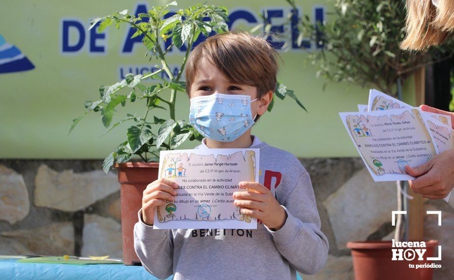 GALERÍA: "Al arbolito, desde chiquito": Los alumnos del Virgen de Araceli reciben de Mejorana diplomas por sus dibujos para la Vía Verde