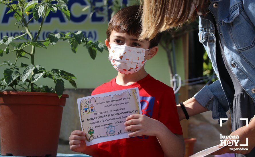 GALERÍA: "Al arbolito, desde chiquito": Los alumnos del Virgen de Araceli reciben de Mejorana diplomas por sus dibujos para la Vía Verde