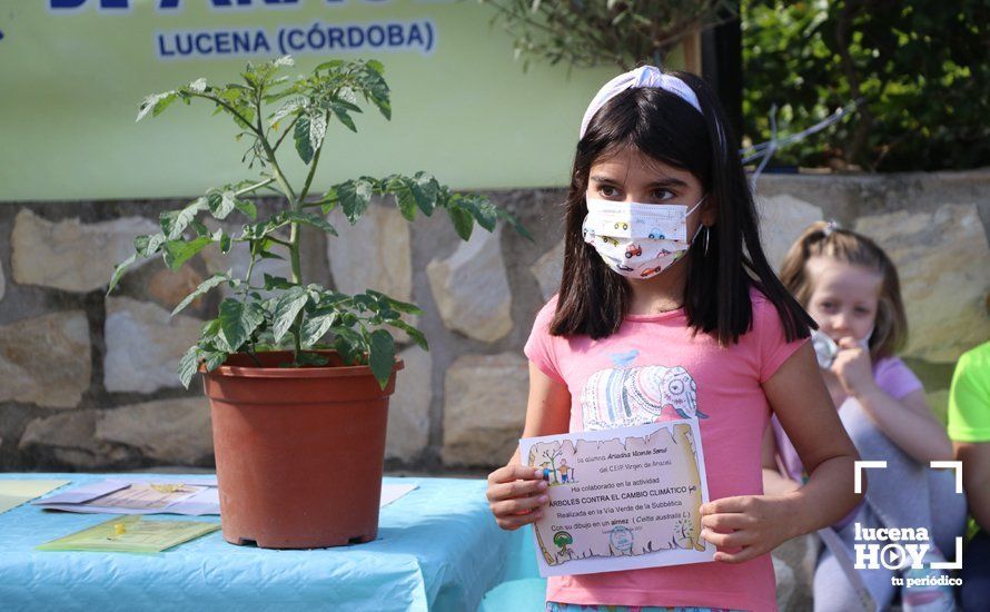 GALERÍA: "Al arbolito, desde chiquito": Los alumnos del Virgen de Araceli reciben de Mejorana diplomas por sus dibujos para la Vía Verde