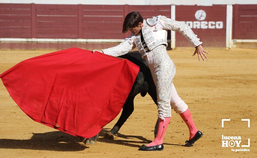 Galería: Alejandro Mariscal se proclama vencedor en el I Bolsín Taurino "Coso de los Donceles" de Lucena Galería: Alejandro Mariscal se proclama vencedor en el I Bolsín Taurino "Coso de los Donceles" de Lucena