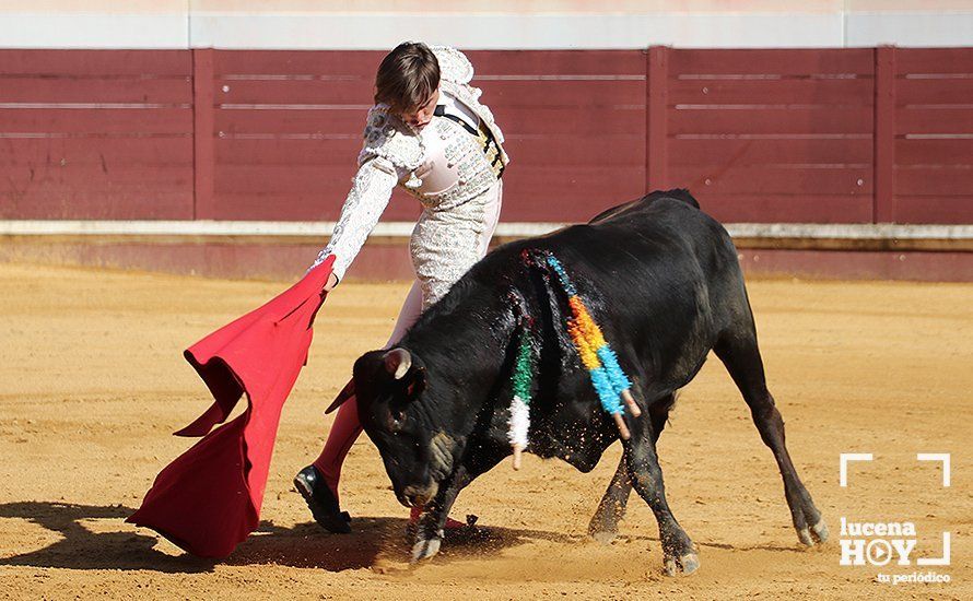 Galería: Alejandro Mariscal se proclama vencedor en el I Bolsín Taurino "Coso de los Donceles" de Lucena