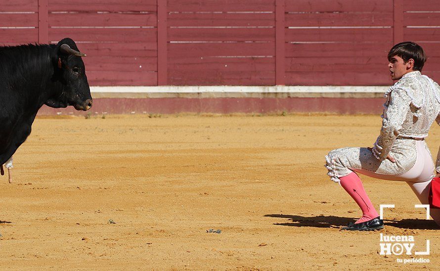 Galería: Alejandro Mariscal se proclama vencedor en el I Bolsín Taurino "Coso de los Donceles" de Lucena