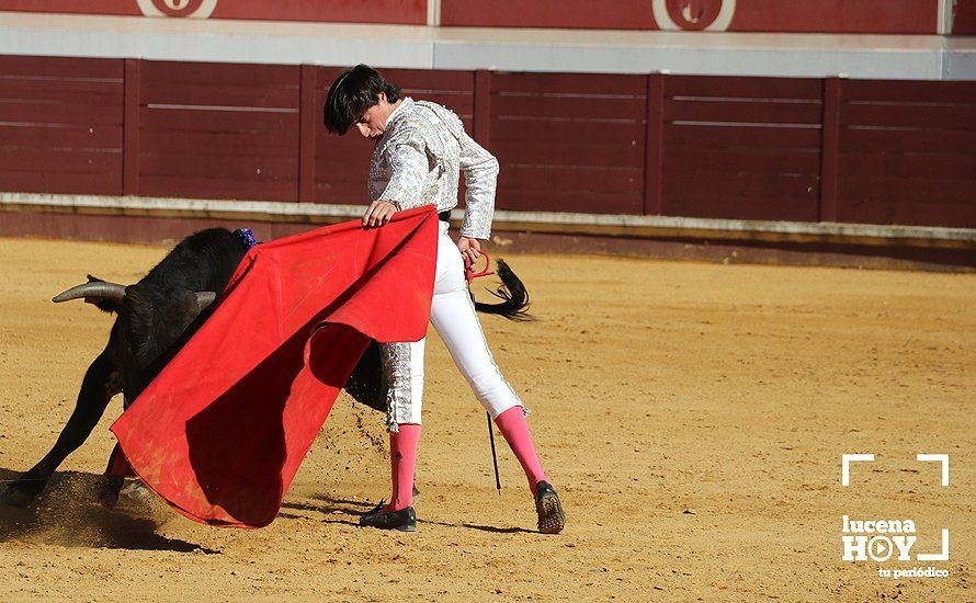 Galería: Alejandro Mariscal se proclama vencedor en el I Bolsín Taurino "Coso de los Donceles" de Lucena Galería: Alejandro Mariscal se proclama vencedor en el I Bolsín Taurino "Coso de los Donceles" de Lucena