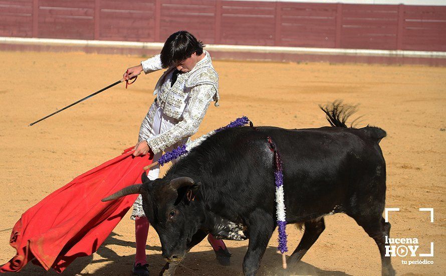 Galería: Alejandro Mariscal se proclama vencedor en el I Bolsín Taurino "Coso de los Donceles" de Lucena Galería: Alejandro Mariscal se proclama vencedor en el I Bolsín Taurino "Coso de los Donceles" de Lucena