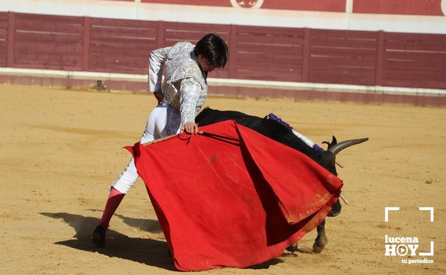 Galería: Alejandro Mariscal se proclama vencedor en el I Bolsín Taurino "Coso de los Donceles" de Lucena