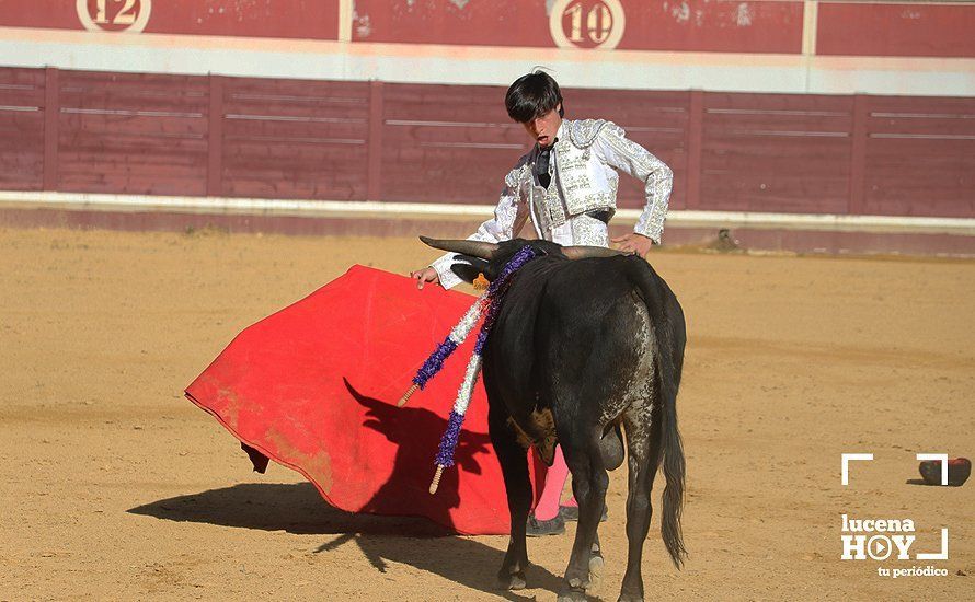 Galería: Alejandro Mariscal se proclama vencedor en el I Bolsín Taurino "Coso de los Donceles" de Lucena Galería: Alejandro Mariscal se proclama vencedor en el I Bolsín Taurino "Coso de los Donceles" de Lucena