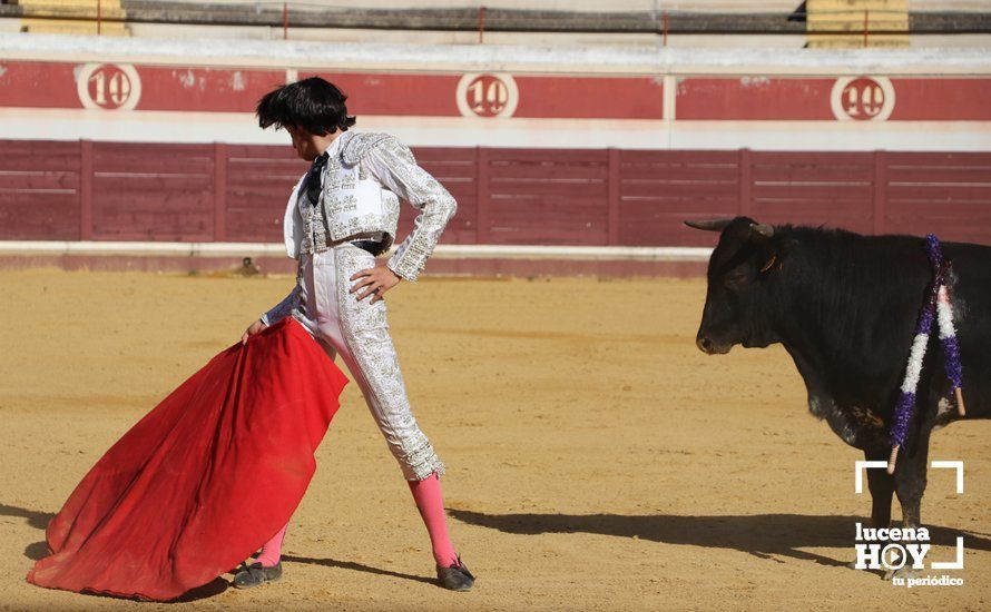 Galería: Alejandro Mariscal se proclama vencedor en el I Bolsín Taurino "Coso de los Donceles" de Lucena