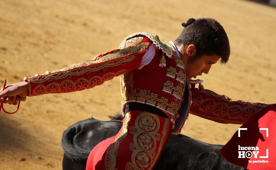 Galería: Alejandro Mariscal se proclama vencedor en el I Bolsín Taurino "Coso de los Donceles" de Lucena