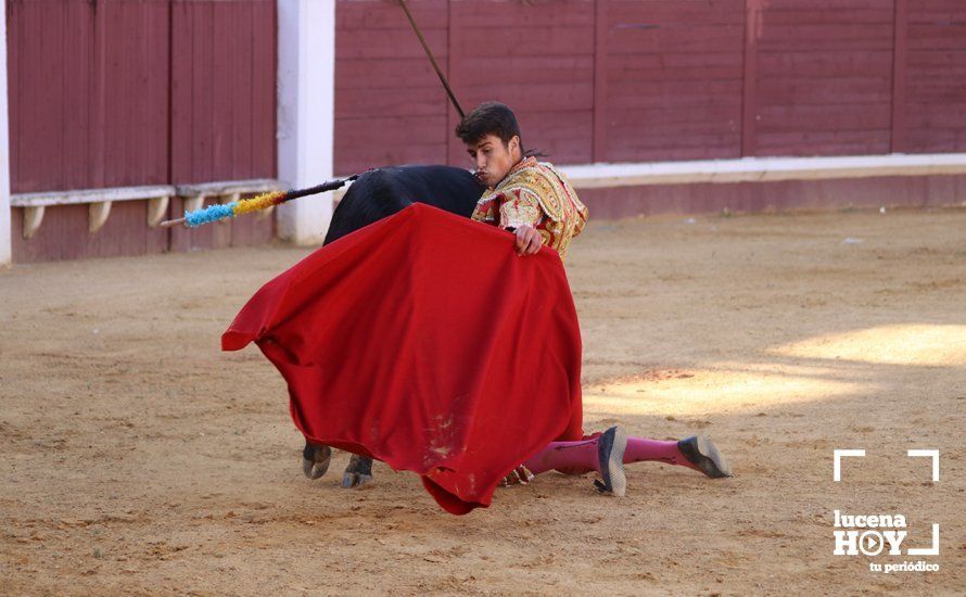 Galería: Alejandro Mariscal se proclama vencedor en el I Bolsín Taurino "Coso de los Donceles" de Lucena