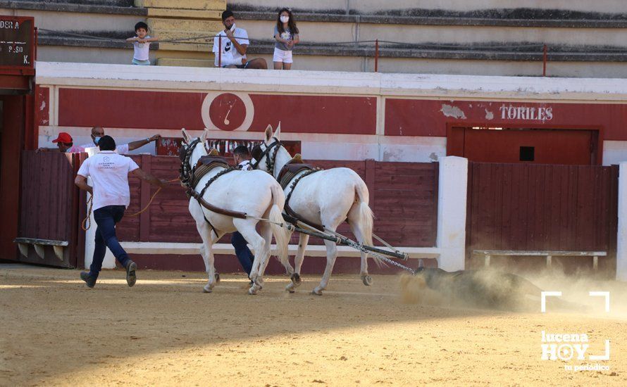 Galería: Alejandro Mariscal se proclama vencedor en el I Bolsín Taurino "Coso de los Donceles" de Lucena Galería: Alejandro Mariscal se proclama vencedor en el I Bolsín Taurino "Coso de los Donceles" de Lucena
