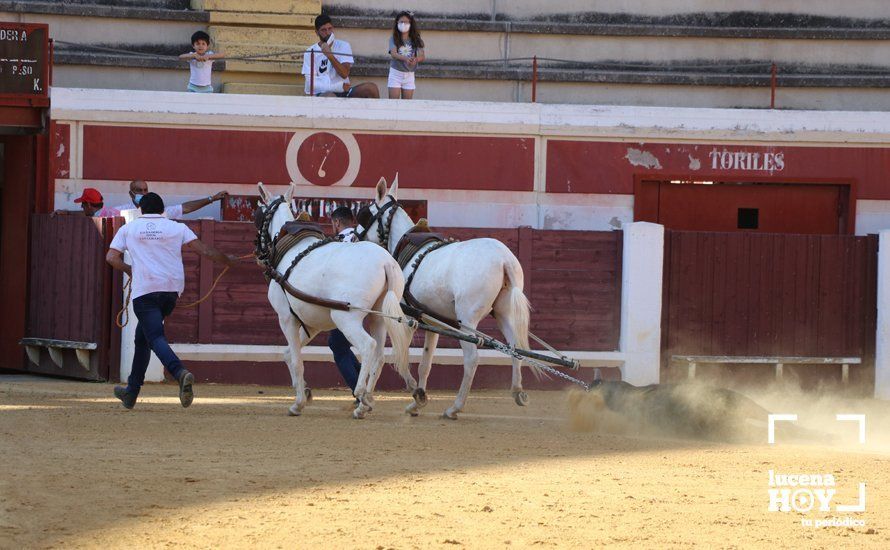 Galería: Alejandro Mariscal se proclama vencedor en el I Bolsín Taurino "Coso de los Donceles" de Lucena