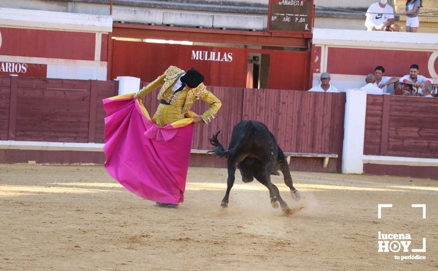 Galería: Alejandro Mariscal se proclama vencedor en el I Bolsín Taurino "Coso de los Donceles" de Lucena