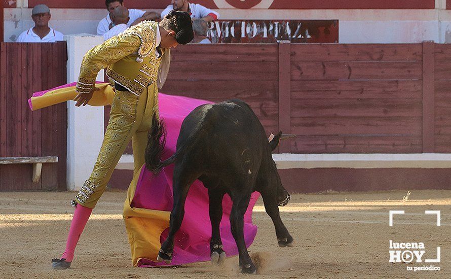 Galería: Alejandro Mariscal se proclama vencedor en el I Bolsín Taurino "Coso de los Donceles" de Lucena Galería: Alejandro Mariscal se proclama vencedor en el I Bolsín Taurino "Coso de los Donceles" de Lucena