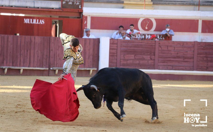 Galería: Alejandro Mariscal se proclama vencedor en el I Bolsín Taurino "Coso de los Donceles" de Lucena Galería: Alejandro Mariscal se proclama vencedor en el I Bolsín Taurino "Coso de los Donceles" de Lucena
