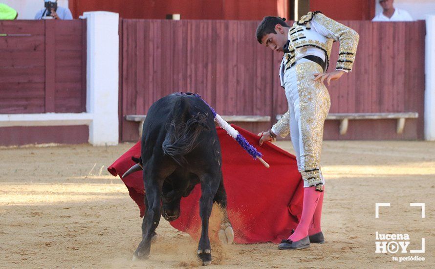 Galería: Alejandro Mariscal se proclama vencedor en el I Bolsín Taurino "Coso de los Donceles" de Lucena Galería: Alejandro Mariscal se proclama vencedor en el I Bolsín Taurino "Coso de los Donceles" de Lucena