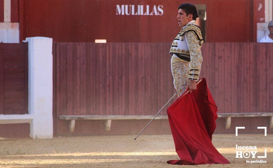 Galería: Alejandro Mariscal se proclama vencedor en el I Bolsín Taurino "Coso de los Donceles" de Lucena Galería: Alejandro Mariscal se proclama vencedor en el I Bolsín Taurino "Coso de los Donceles" de Lucena