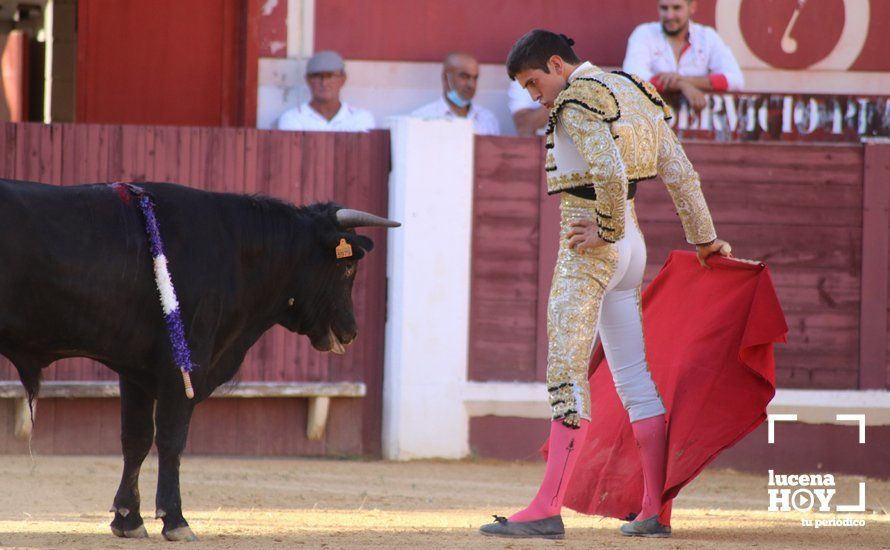 Galería: Alejandro Mariscal se proclama vencedor en el I Bolsín Taurino "Coso de los Donceles" de Lucena Galería: Alejandro Mariscal se proclama vencedor en el I Bolsín Taurino "Coso de los Donceles" de Lucena
