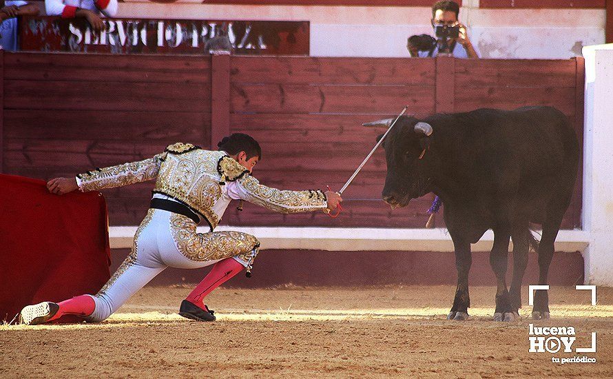 Galería: Alejandro Mariscal se proclama vencedor en el I Bolsín Taurino "Coso de los Donceles" de Lucena