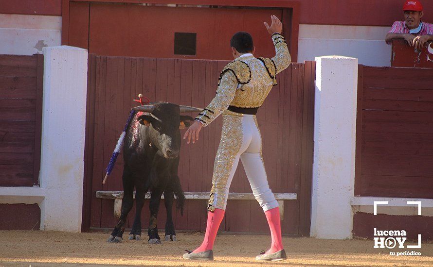 Galería: Alejandro Mariscal se proclama vencedor en el I Bolsín Taurino "Coso de los Donceles" de Lucena