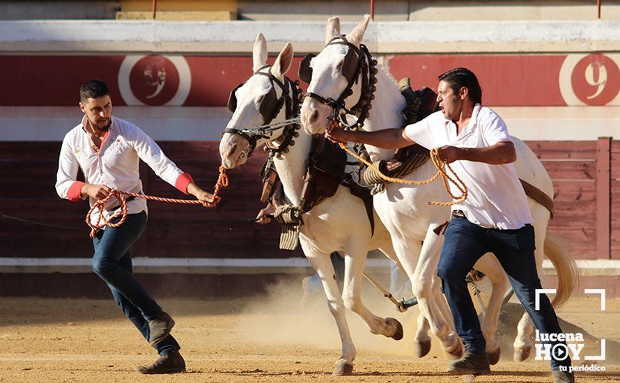 Galería: Alejandro Mariscal se proclama vencedor en el I Bolsín Taurino "Coso de los Donceles" de Lucena