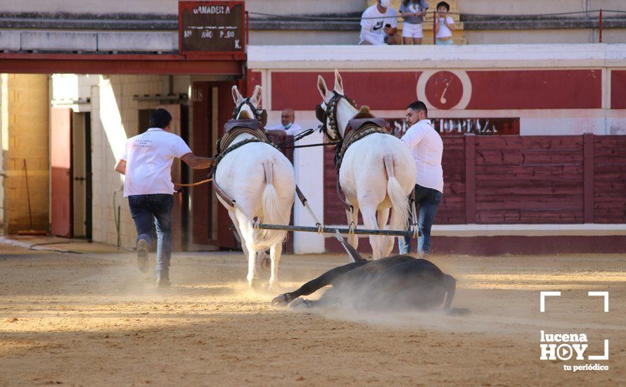 Galería: Alejandro Mariscal se proclama vencedor en el I Bolsín Taurino "Coso de los Donceles" de Lucena