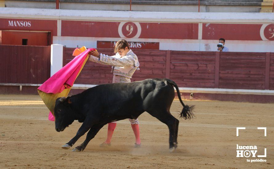 Galería: Alejandro Mariscal se proclama vencedor en el I Bolsín Taurino "Coso de los Donceles" de Lucena Galería: Alejandro Mariscal se proclama vencedor en el I Bolsín Taurino "Coso de los Donceles" de Lucena