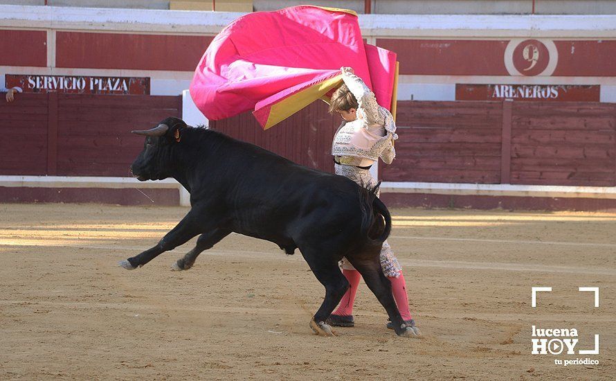 Galería: Alejandro Mariscal se proclama vencedor en el I Bolsín Taurino "Coso de los Donceles" de Lucena Galería: Alejandro Mariscal se proclama vencedor en el I Bolsín Taurino "Coso de los Donceles" de Lucena