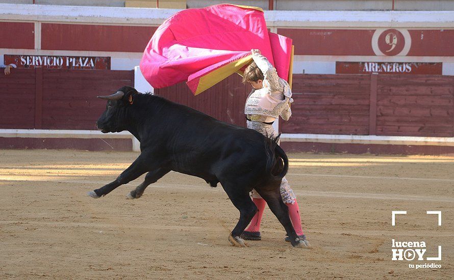 Galería: Alejandro Mariscal se proclama vencedor en el I Bolsín Taurino "Coso de los Donceles" de Lucena