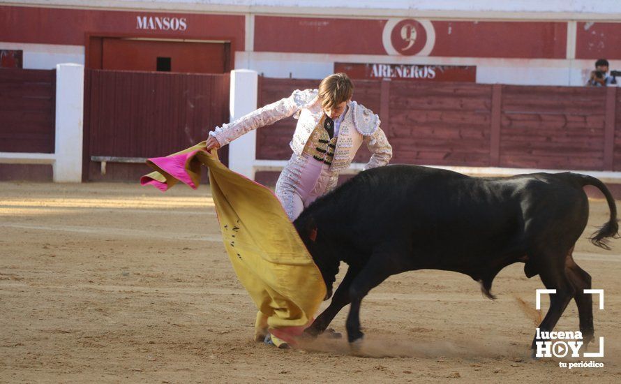 Galería: Alejandro Mariscal se proclama vencedor en el I Bolsín Taurino "Coso de los Donceles" de Lucena Galería: Alejandro Mariscal se proclama vencedor en el I Bolsín Taurino "Coso de los Donceles" de Lucena