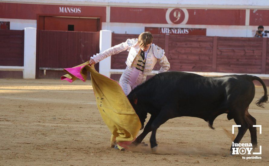 Galería: Alejandro Mariscal se proclama vencedor en el I Bolsín Taurino "Coso de los Donceles" de Lucena