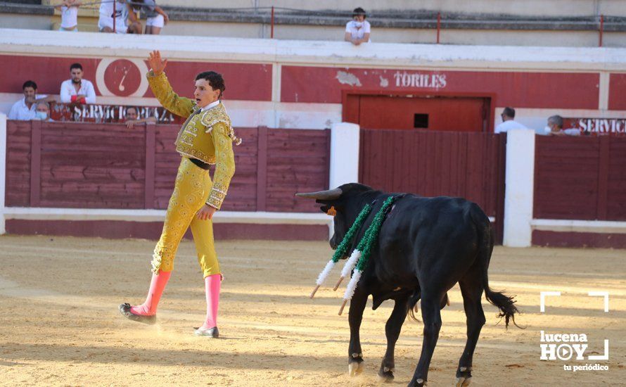 Galería: Alejandro Mariscal se proclama vencedor en el I Bolsín Taurino "Coso de los Donceles" de Lucena Galería: Alejandro Mariscal se proclama vencedor en el I Bolsín Taurino "Coso de los Donceles" de Lucena